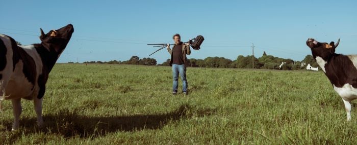 Image d'illustration